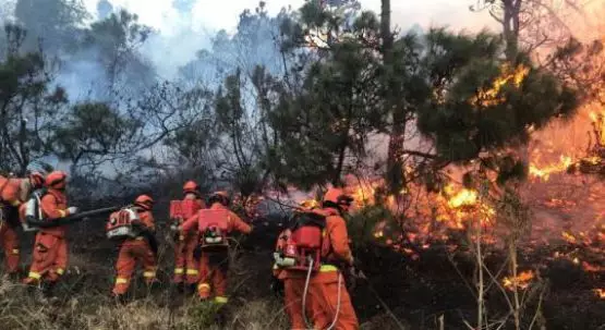彩运网(中国游) - 官方网站