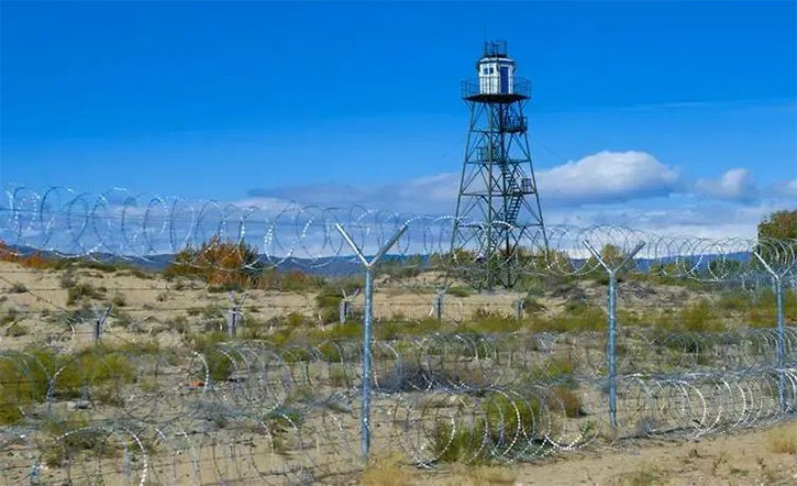 彩运网(中国游) - 官方网站